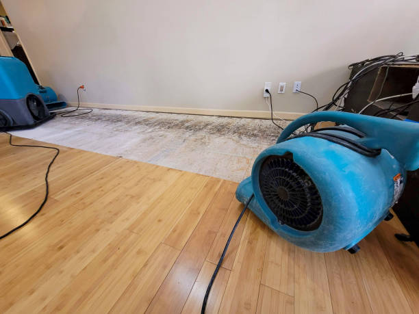 Professional Water Damage Repair technician working in Wilton, NH